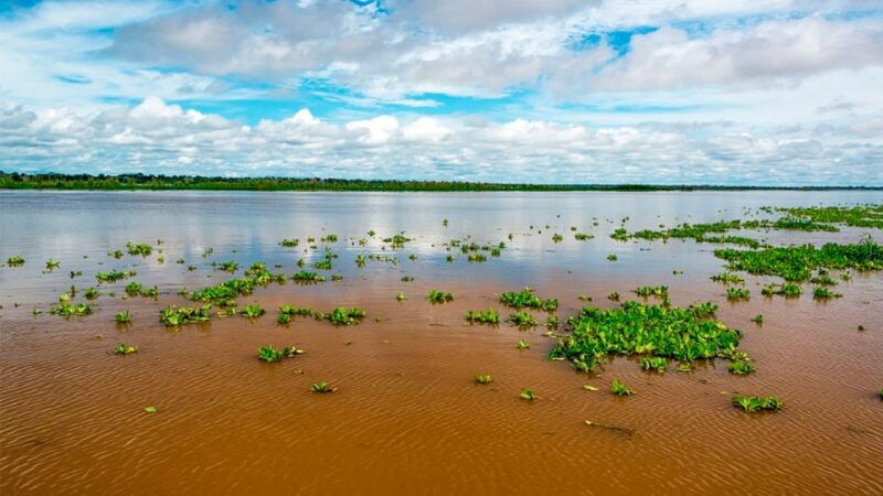 iquitos-6-hour-wonderful-wildlife-guided-tour