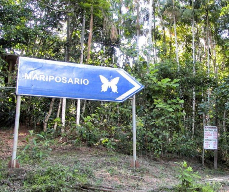 iquitos-pilpintuwasi-butterfly-farm-and-native-communities