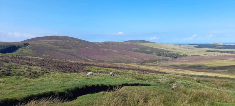 isle-of-man-half-day-northern-discovery-tour