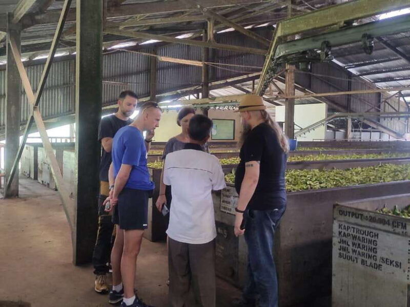 jakarta-volcano-hot-spring-tea-rice-fields-coffee-tour