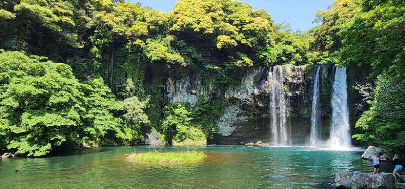 jeju-western-sothern-hydrangea-festival-tour