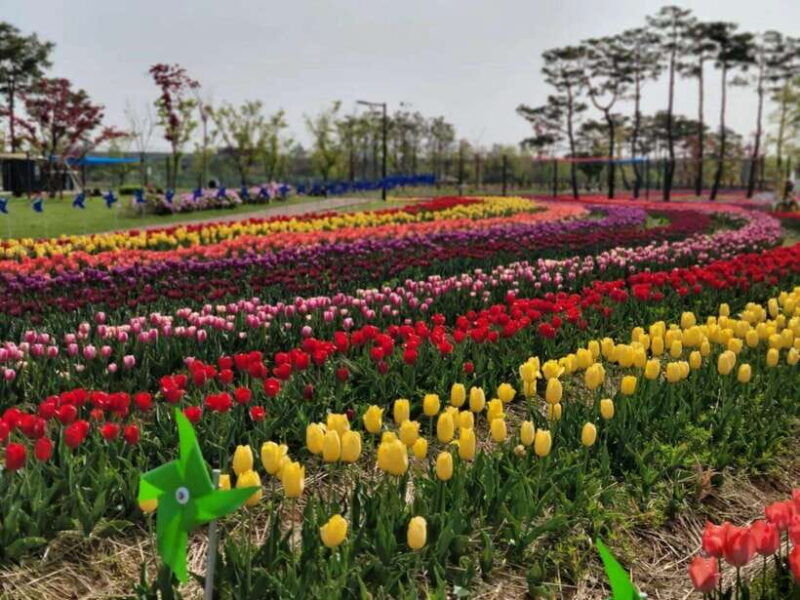 jeonju-hanok-village-and-arboretum-flower-festival