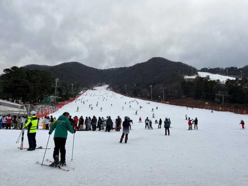 jisan-forest-ski-resort-one-day-tour
