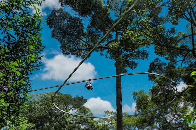 Jungle Flight Zipline Roller Coaster - What Makes This Tour Stand Out?