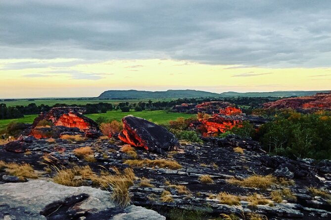Kakadu Day Tour-Yellow Water-Nourlangie-Ubirr-Cahills-Fogg Dam - Authentic Experiences and Honest Insights from Reviewers