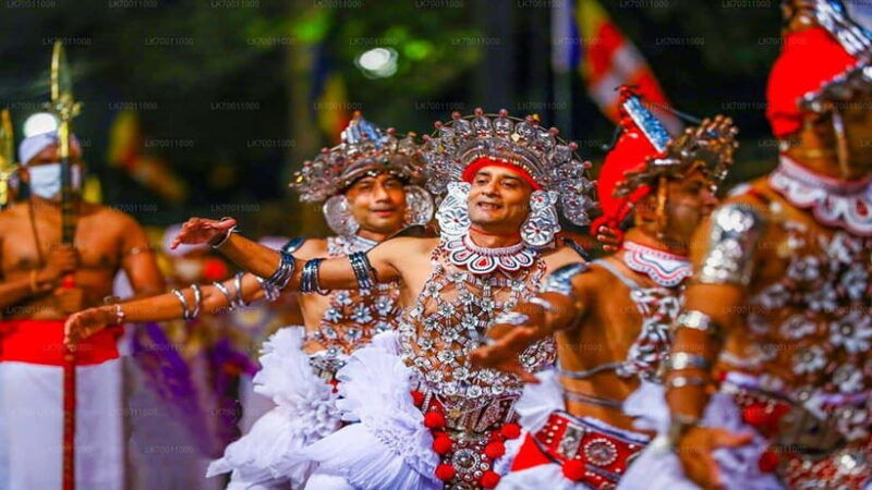 kandy-pinnawala-day-tour-with-top-rated-local-guide