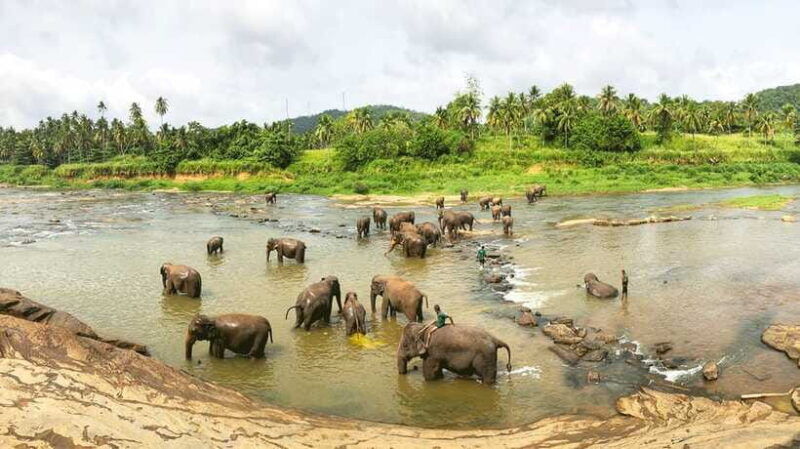 kandy-pinnawala-private-day-trip-from-the-west-coast-beach