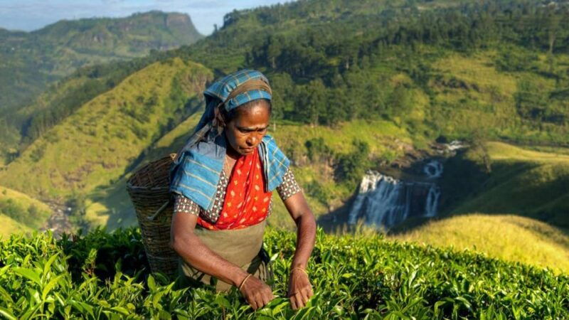 kandy-shanthipura-and-nuwara-eliya
