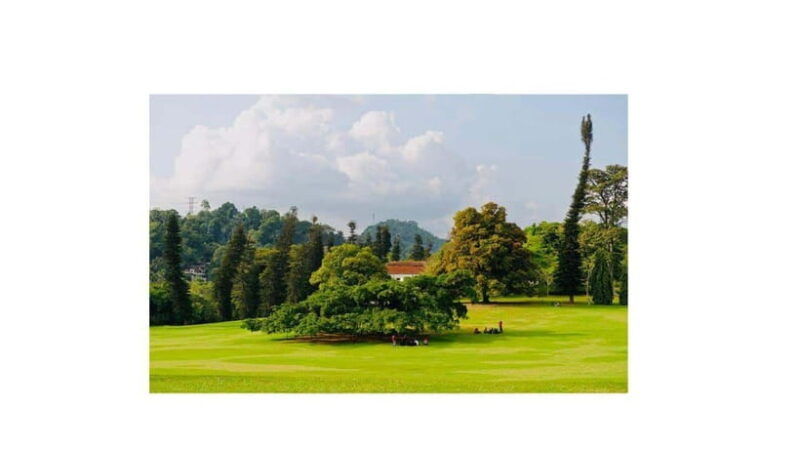 kandy-to-ambuluwawa-day-tour-by-luxary-car