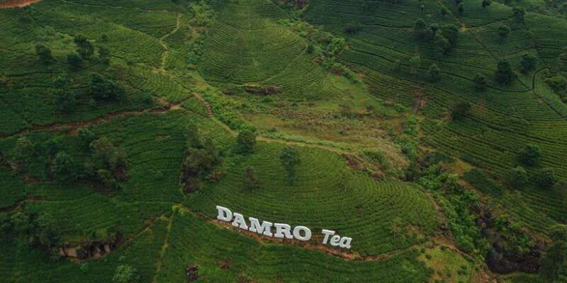 kandy-to-nuwara-eliya-drop-tour-sri-lanka