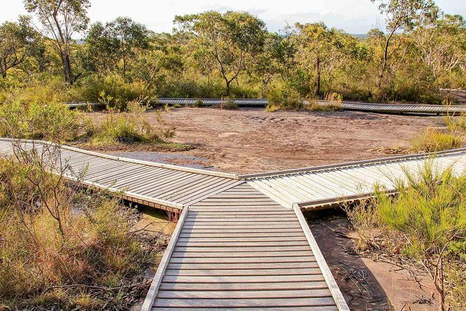 Kangaroo Encounter & Aboriginal Rock Arts Half-Day Trip from Sydney - FAQs