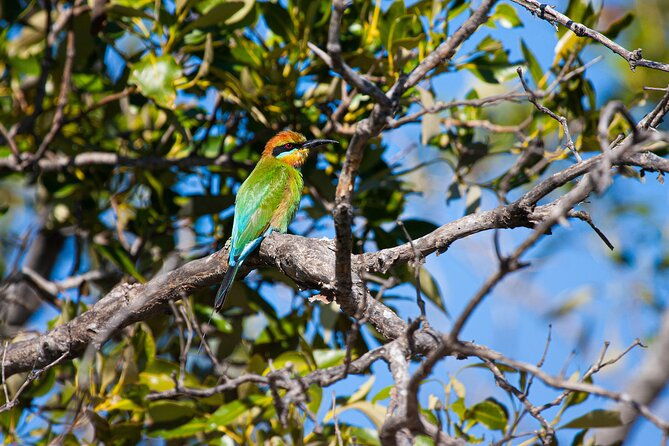 Kangaroos, mangroves and the ocean - Final Thoughts: Who Should Consider This Tour?