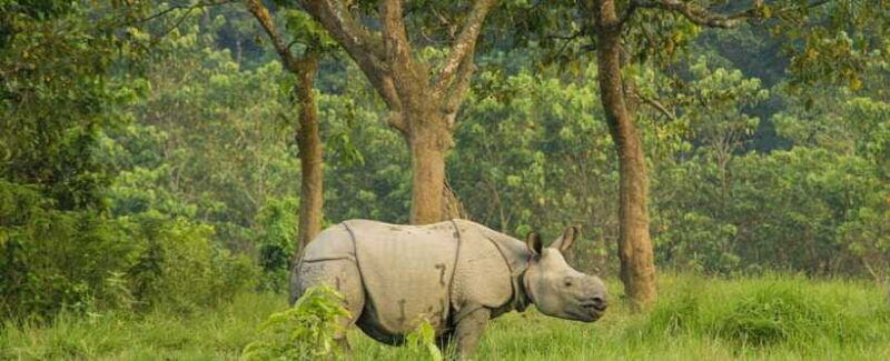 kathmandu-1-way-flight-ticket-to-chitwan-bharatpur