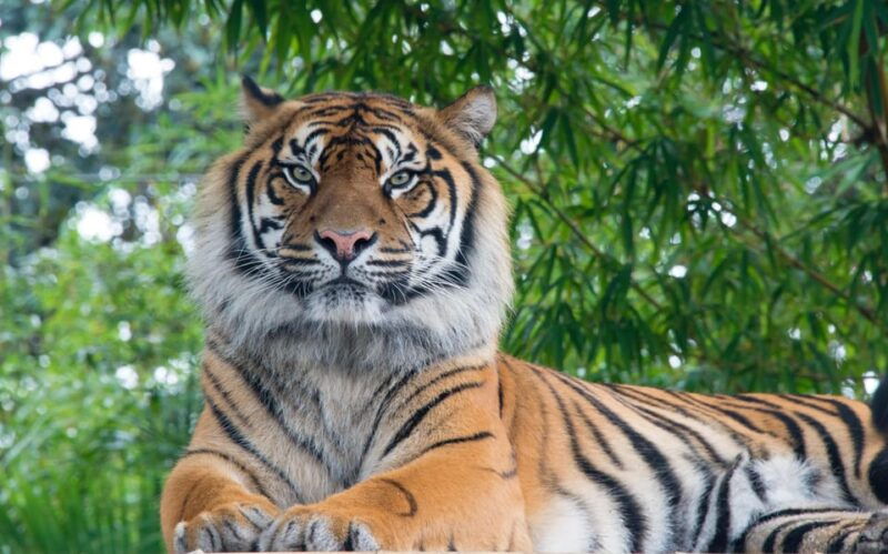 kathmandu-4-day-private-chitwan-national-park-safari-tour
