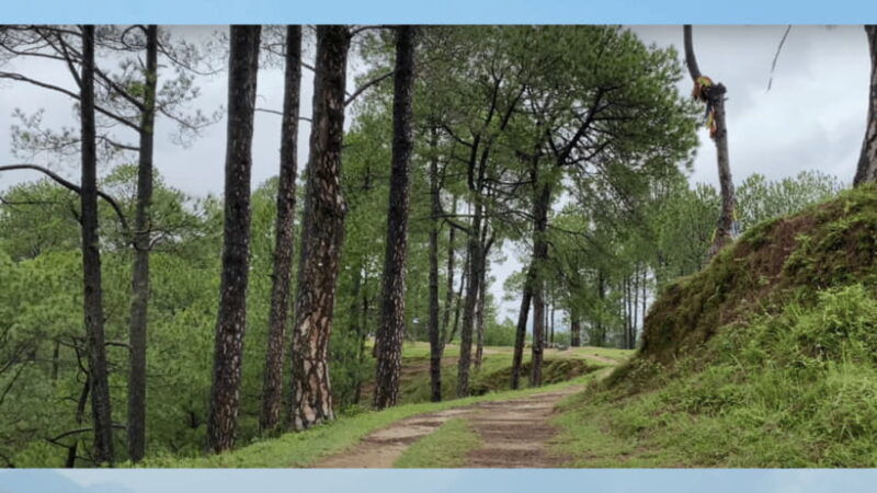 kathmandu-fresh-air-hiking-at-kapan-jagdol-nagi-gumba