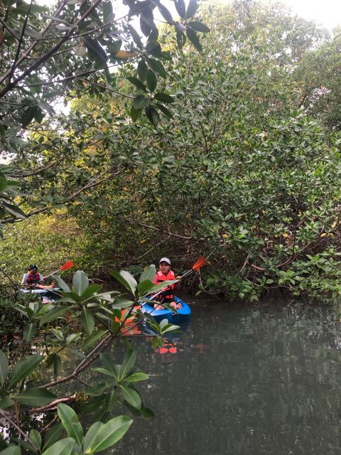 kayak-tour-in-cancun-with-photos-included