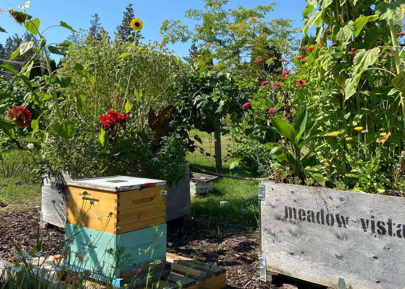 kelowna-e-bike-bee-tour-w-tastings-lunch-and-audioguide