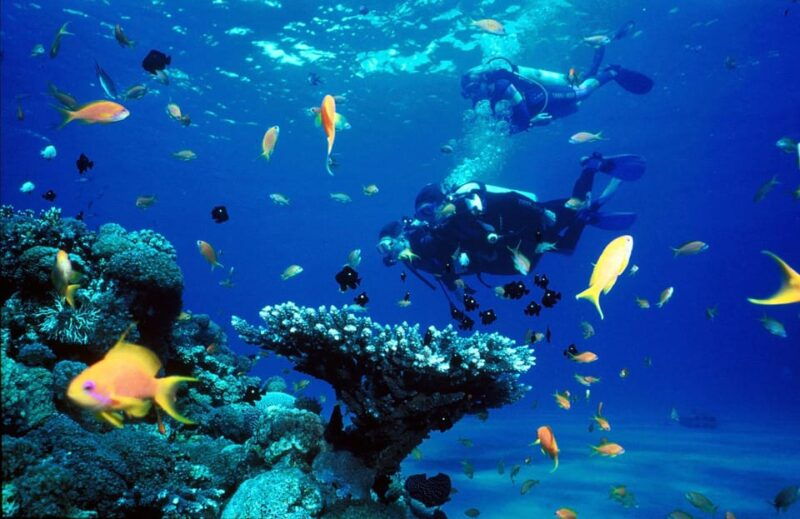 kemer-scuba-diving-with-expert-diving-option