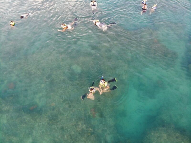 key-west-dolphin-snorkel-boat-tour-with-sunset-option