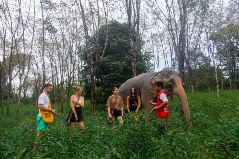 khao-lak-eco-safari-elephant-sanctuary-small-group-tour