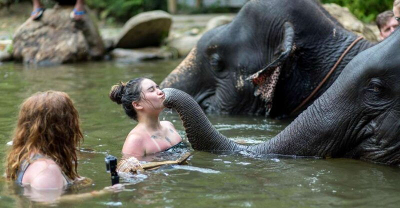 khao-lak-elephant-care-experience