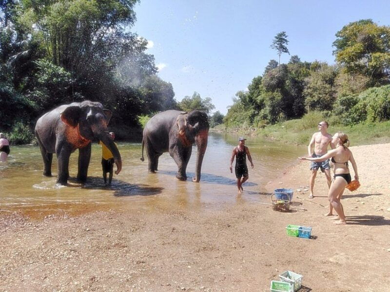 khao-lak-khao-sok-private-elephant-daycare-bamboo-rafting