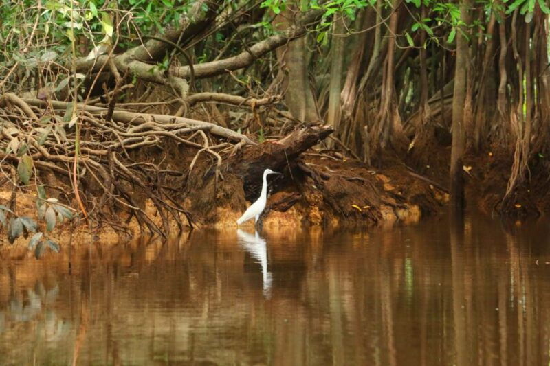 khao-lak-sri-phang-nga-canoe-and-tam-nang-waterfall-tour