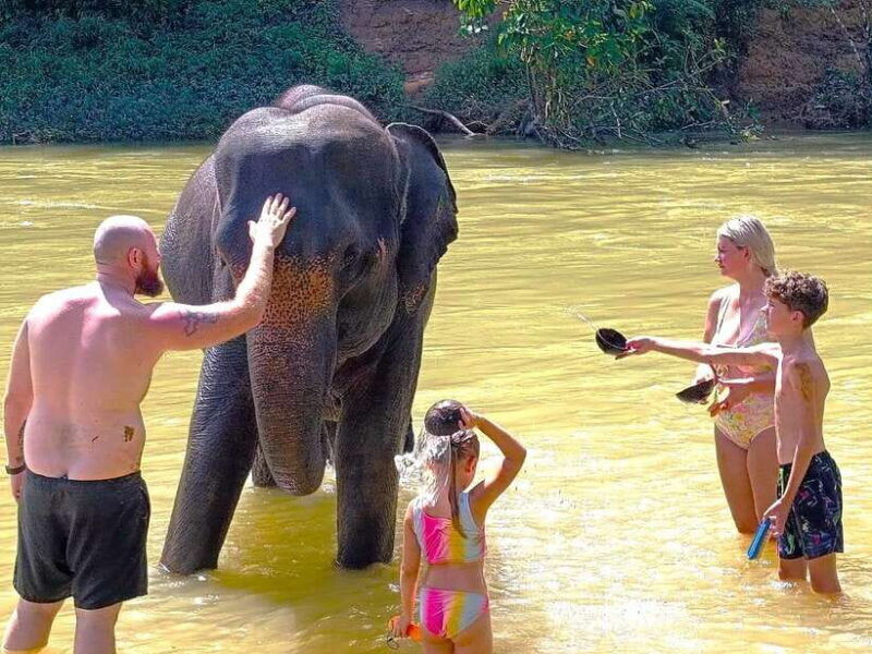 khao-sok-elephant-day-care-bamboo-rafting-day-tour