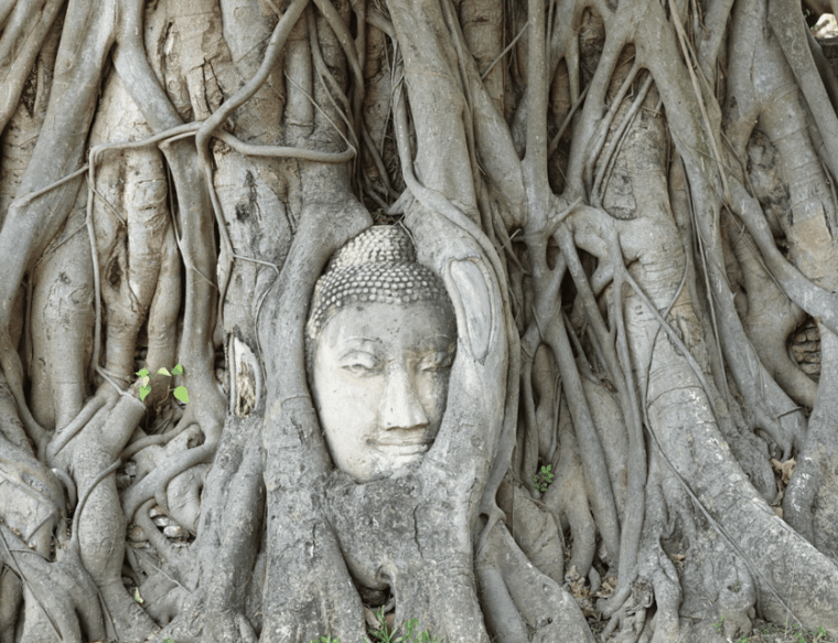 khao-sok-national-park-private-day-tour-from-phuket-khao-lak