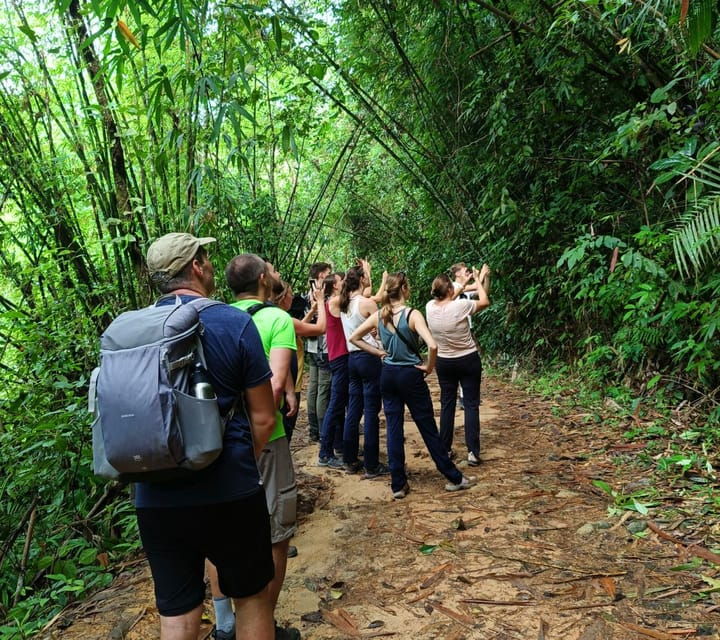 khao-sok-private-day-trekking-jungle-dinner-night-safari