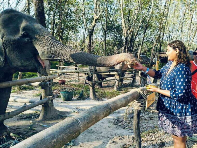 khaolak-ethical-elephant-sanctuary-snack-making-feeding