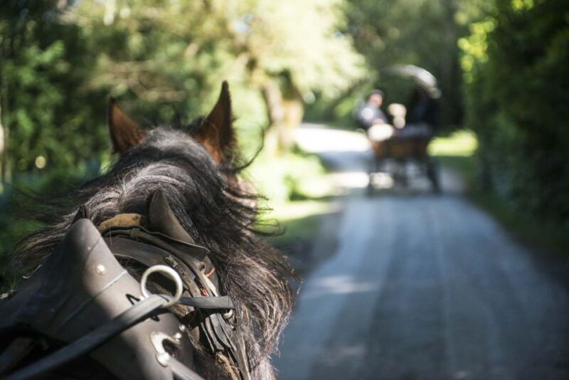 killarney-1-hour-jaunting-car-horse-and-carriage-tour