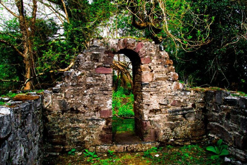 killarney-guided-boat-tour-to-innisfallen-island