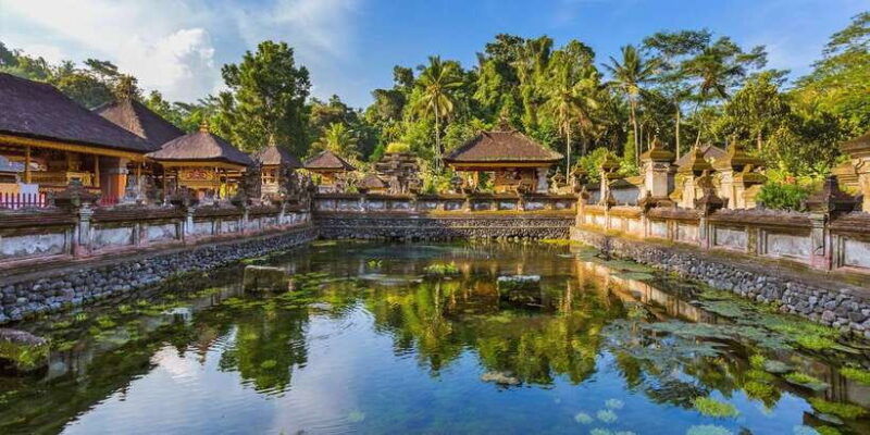 kintamani-full-day-tour-tegalalang-rice-field-goa-gajah