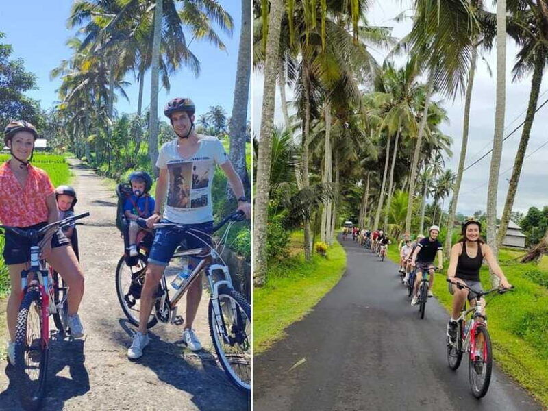 kintamani-to-ubud-downhill-cycling-tour