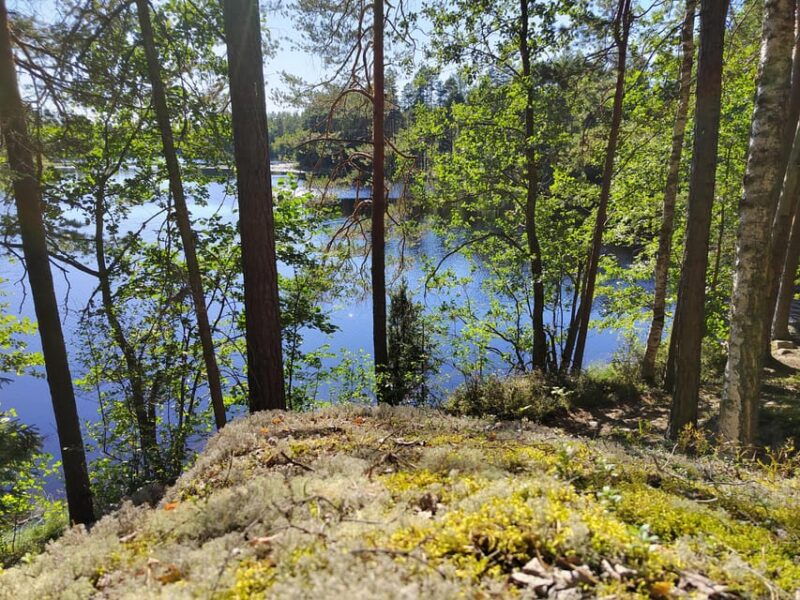 kintulammi-nature-experience-nature-reserve-near-tampere
