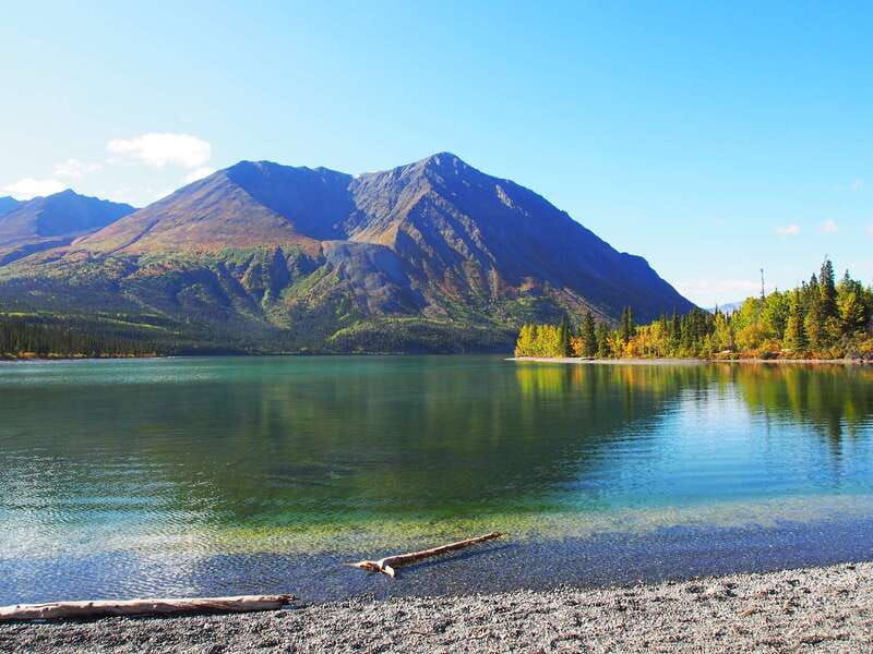 kluane-national-park-full-day-tour