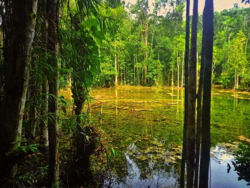 ko-lanta-full-day-emerald-poolhot-spring-with-tiger-temple
