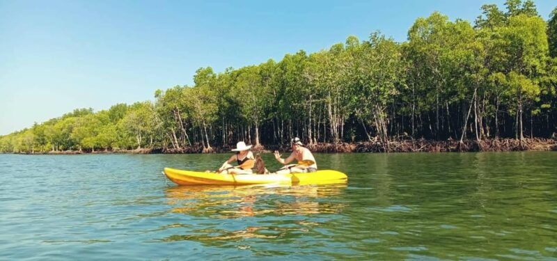 ko-lanta-half-day-mangrove-eco-kayak-experience-with-lunch