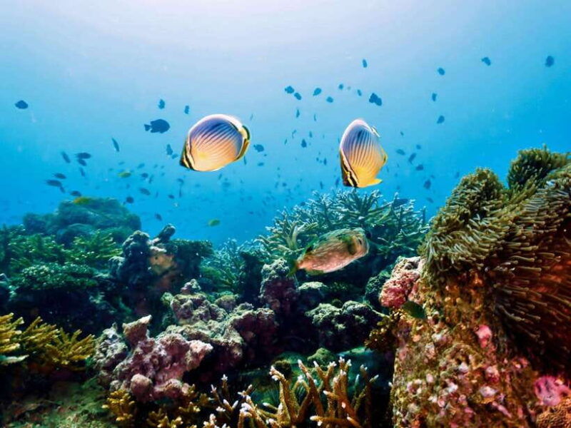 ko-lanta-snorkeling-adventure-tour-to-koh-rok-and-koh-haa