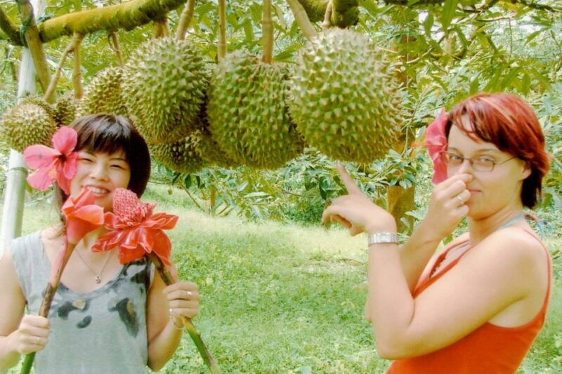 ko-samui-4wd-wild-jungle-safari-tour-with-lunch