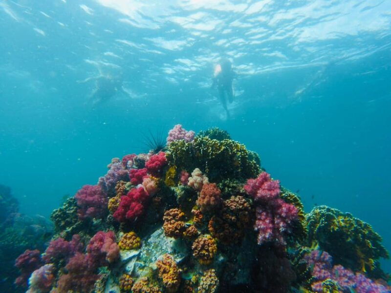 koh-lipe-7-island-snorkeling-trip-by-longtail-boat-w-lunch