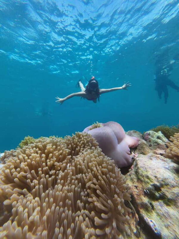koh-lipe-half-day-snorkelling-trip-to-4-islands-5-points