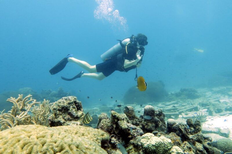 koh-samui-day-trip-diving-at-sail-rock