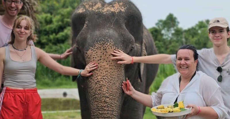 koh-samui-elephant-sanctuary-and-jungle-tour-with-lunch