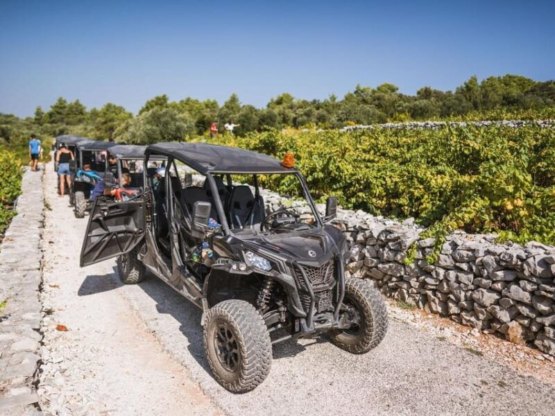 korcula-buggy-safari-with-wine-tasting