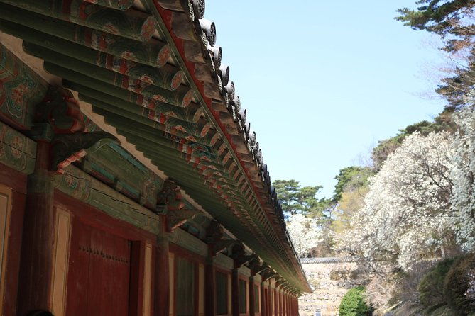 Korean UNESCO World Heritage Tour including Gyeongju, Andong and Daegu(2N3D) - Final Thoughts: Who is This Tour Best For?