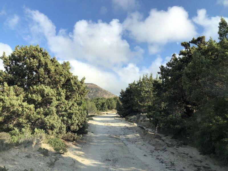kos-off-the-beaten-track-tour-in-kefalos-cavo-paradiso