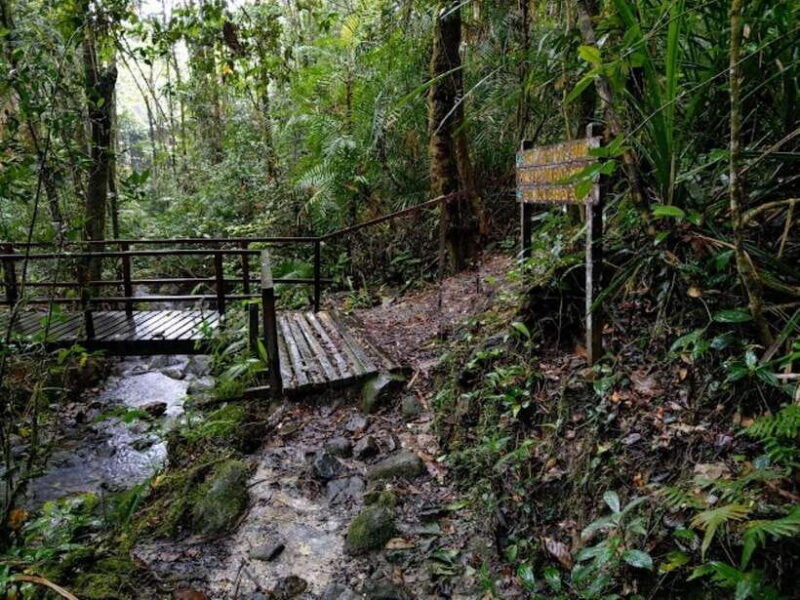 kota-kinabalu-private-kundasang-and-poring-hot-spring-tour