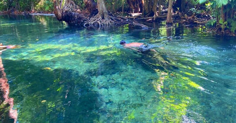 krabi-crystal-lagoon-kayaking-and-horseback-riding-day-trip